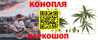 ECSTASY Малгобек