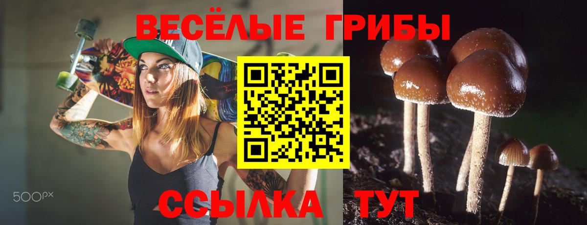 Галлюциногенные грибы Cubensis  где продают наркотики  Тверь  Галлюциногенные грибы Psilocybine cubensis  Вход с VPN 